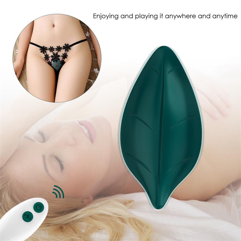 Panty Vibrator