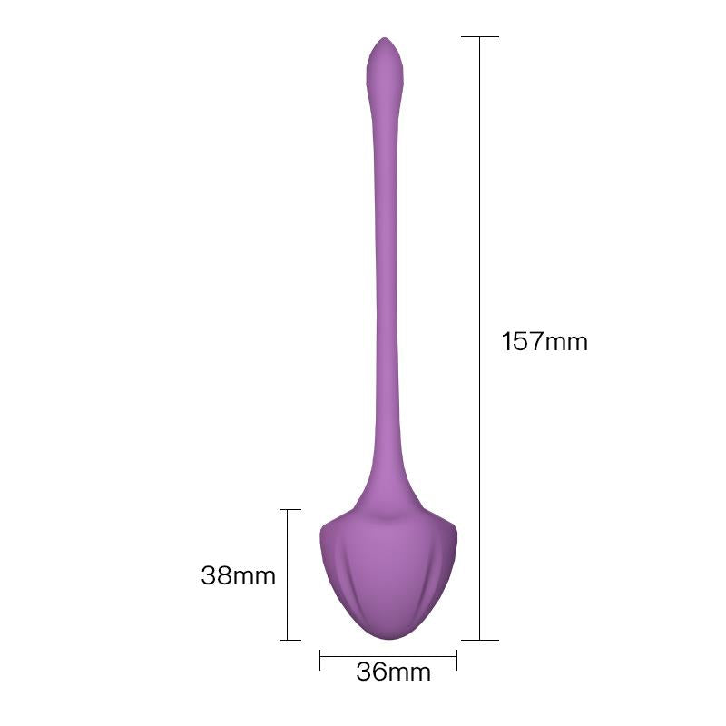 Set of 5 Kegel balls