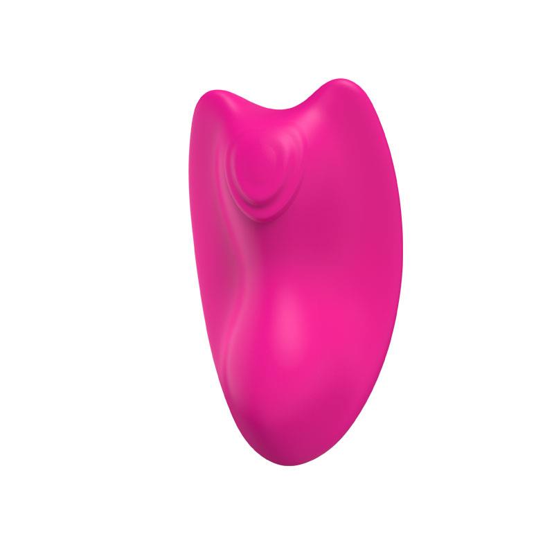 Magnetic panty vibrator