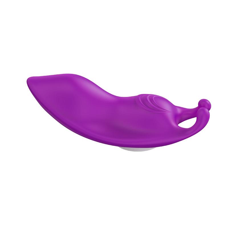 Magnetic panty vibrator