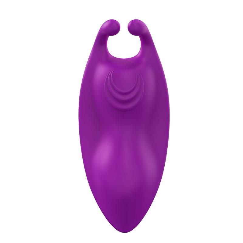 Magnetic panty vibrator