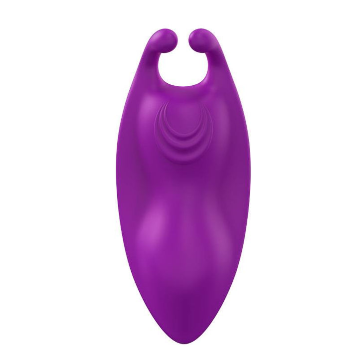 Magnetic panty vibrator