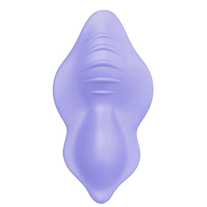 Panty Vibrator with Remote