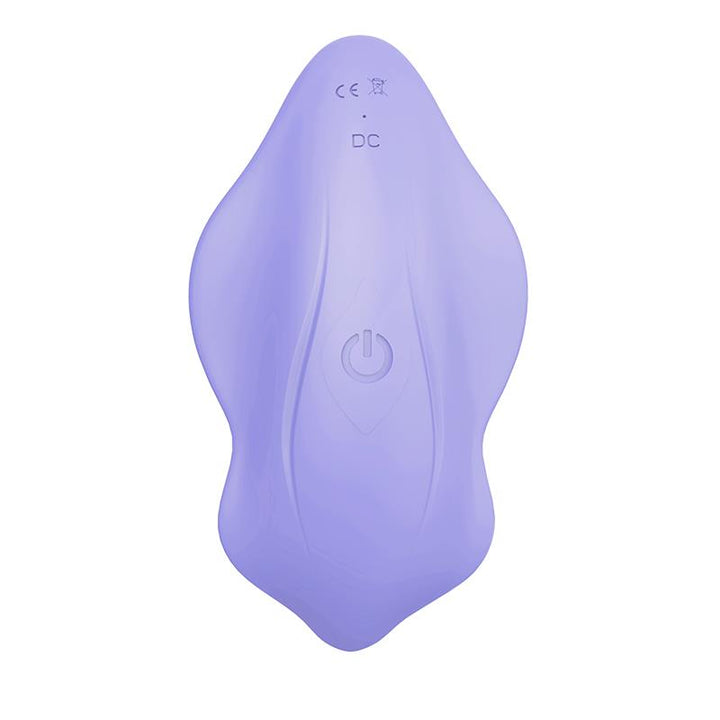 Panty Vibrator with Remote