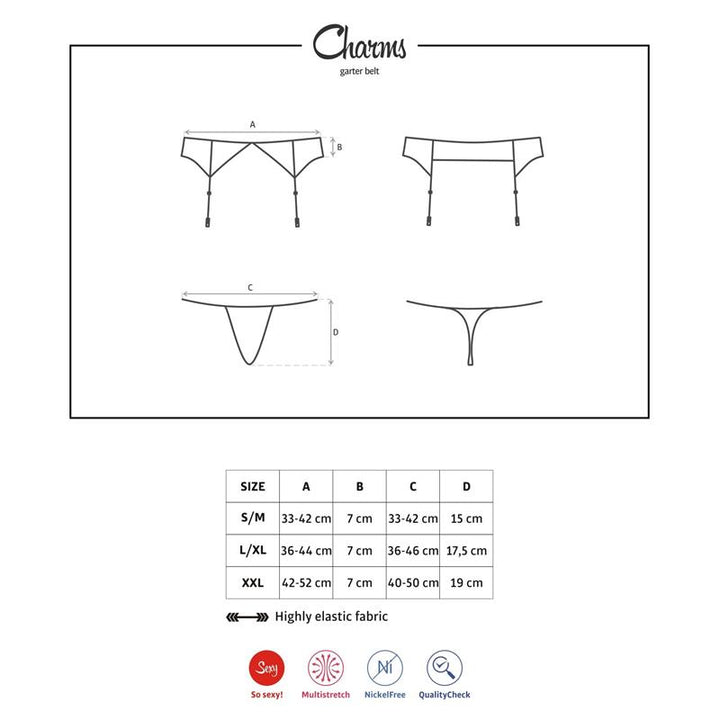 Charms Garter Belt and Thong