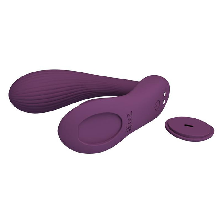 Franz Vibe with Panty Stimulator and App