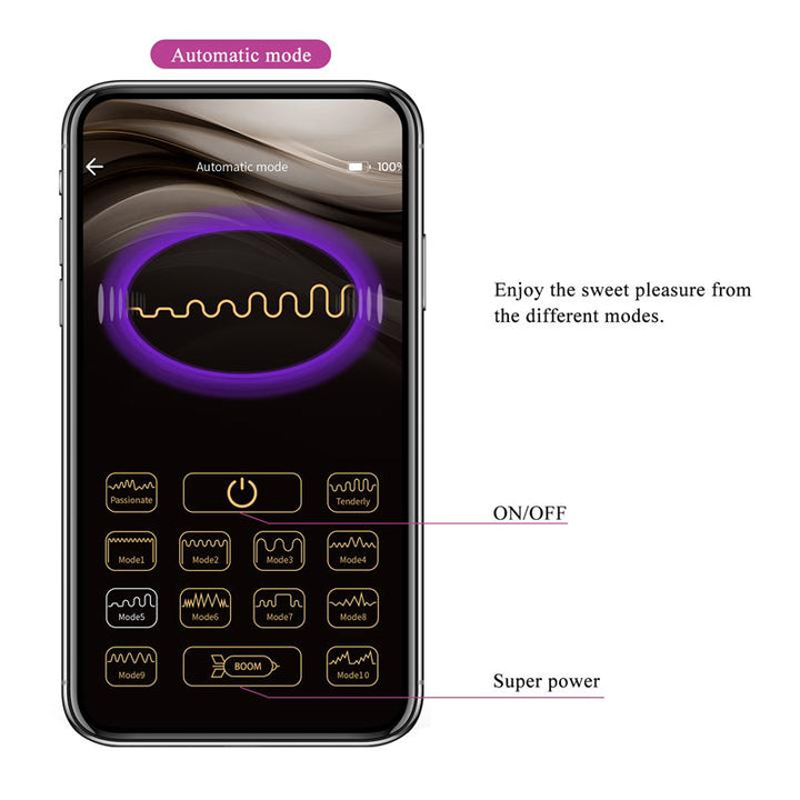 Franz Vibe with Panty Stimulator and App