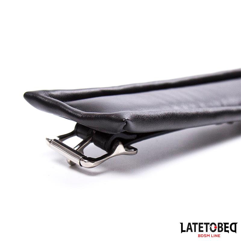 Padded Collar with Leash