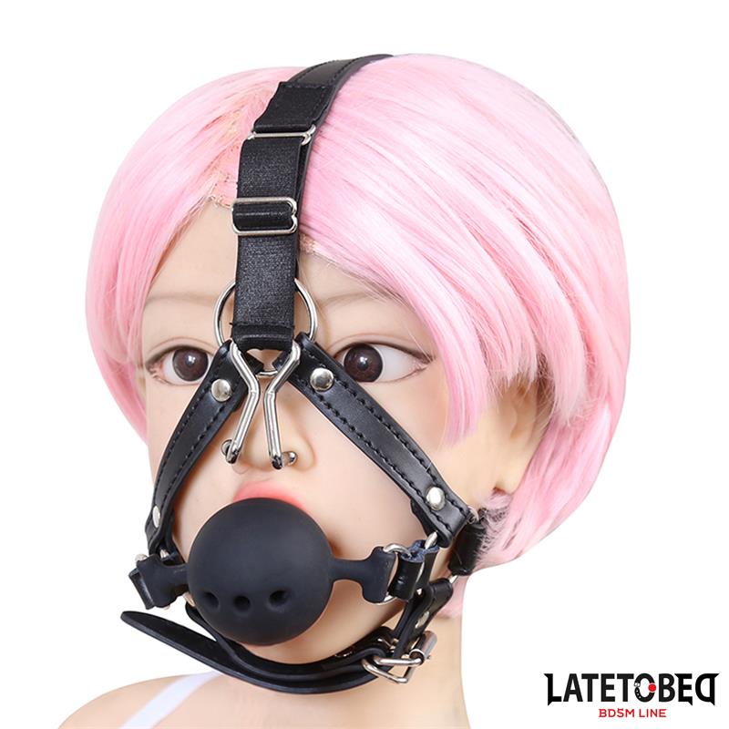 Head Harness with Ball Gag and Nose Hook