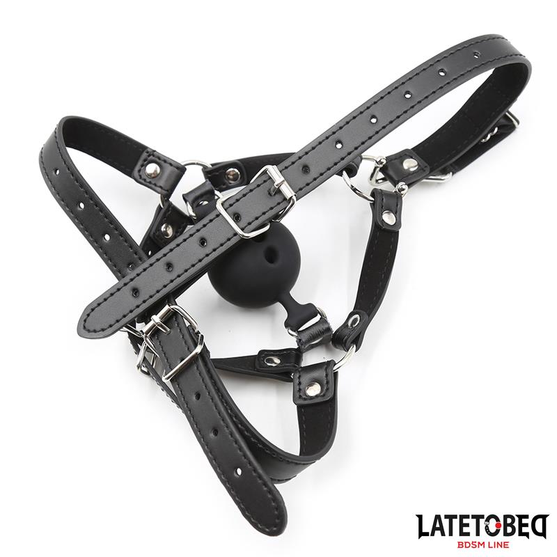 Head Harness with Ball Gag and Nose Hook