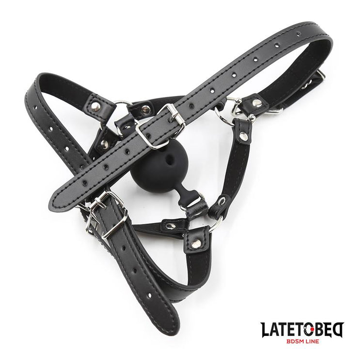 Head Harness with Ball Gag and Nose Hook