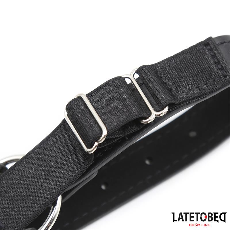 Head Harness with Ball Gag and Nose Hook