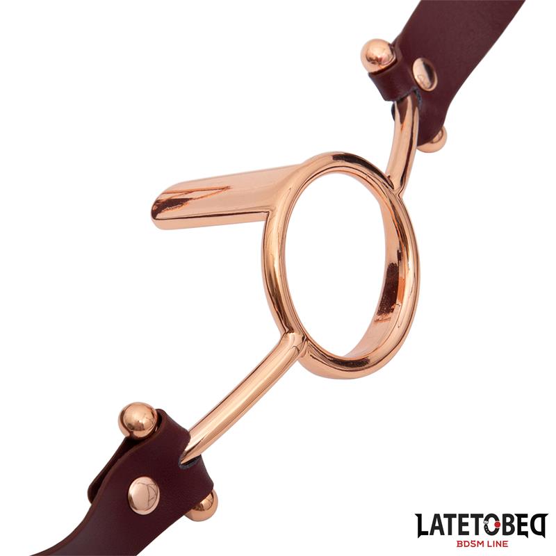 Leather O Ring Gag