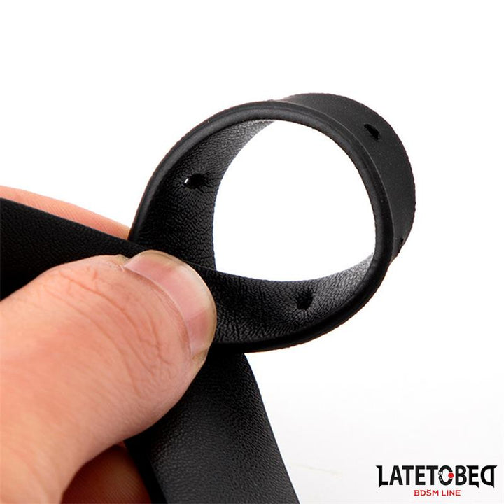 Collar with Bell and Leash