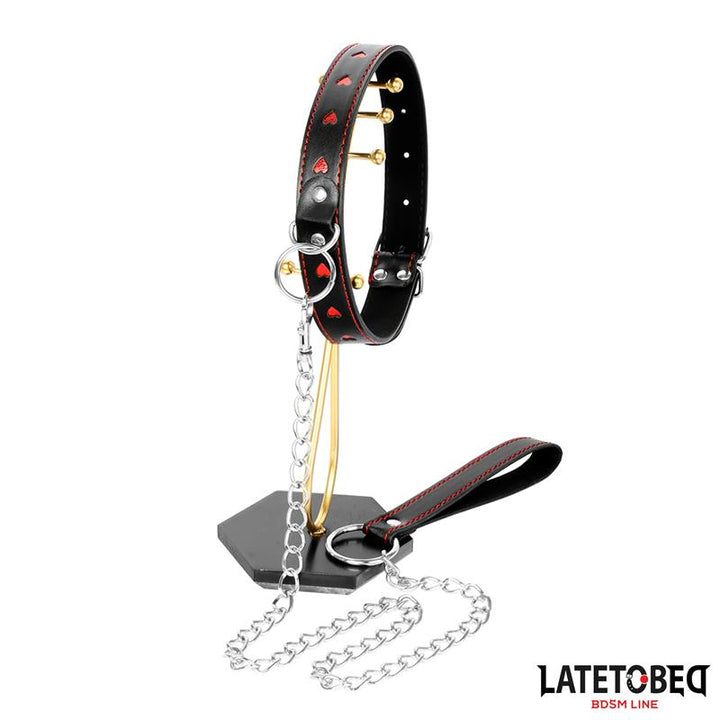 collar with Leash 52 cm