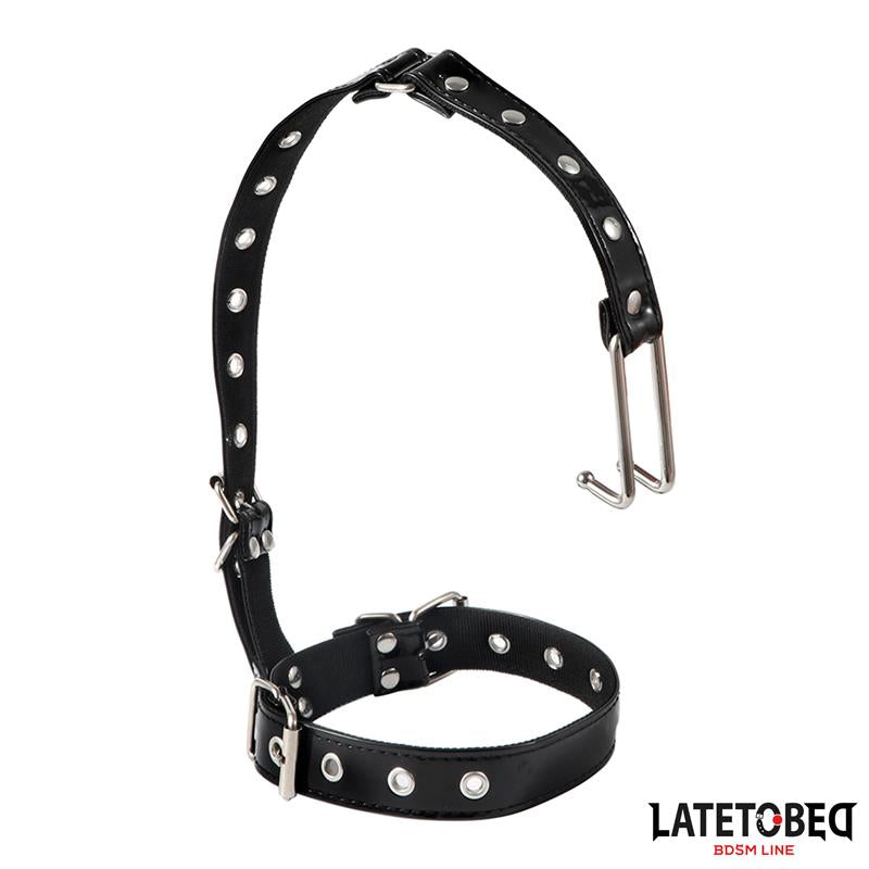 Collar with Nose Hook