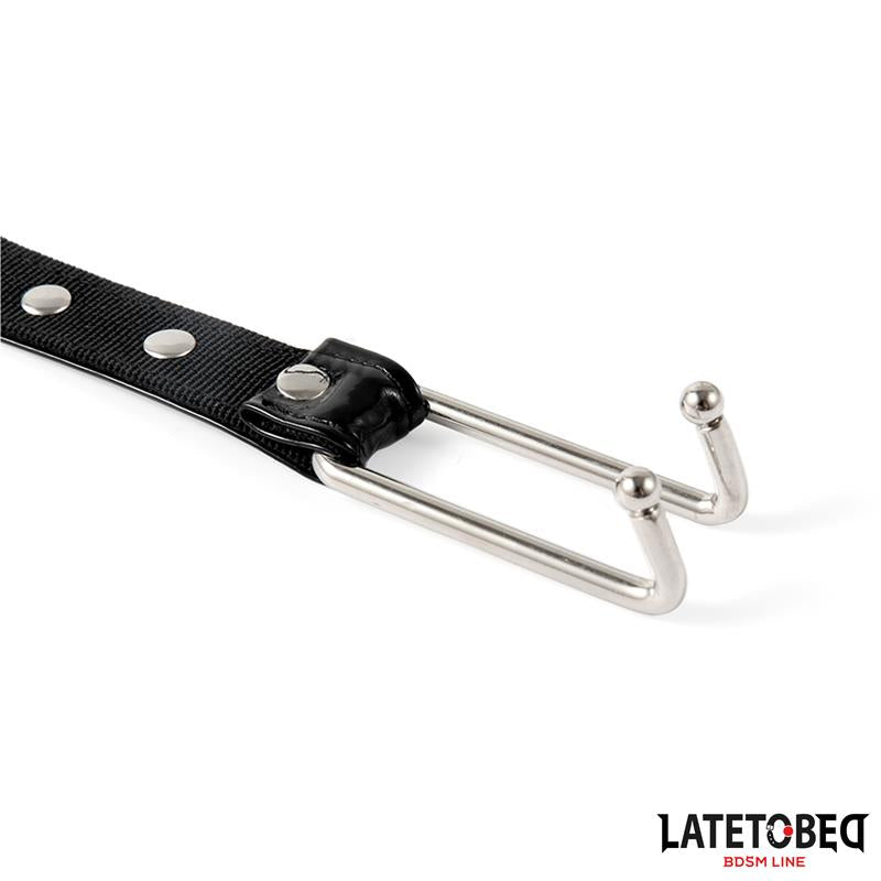 Collar with Nose Hook