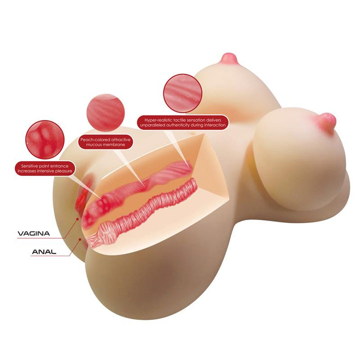 Masturbator Vagina and Ass 71 kg