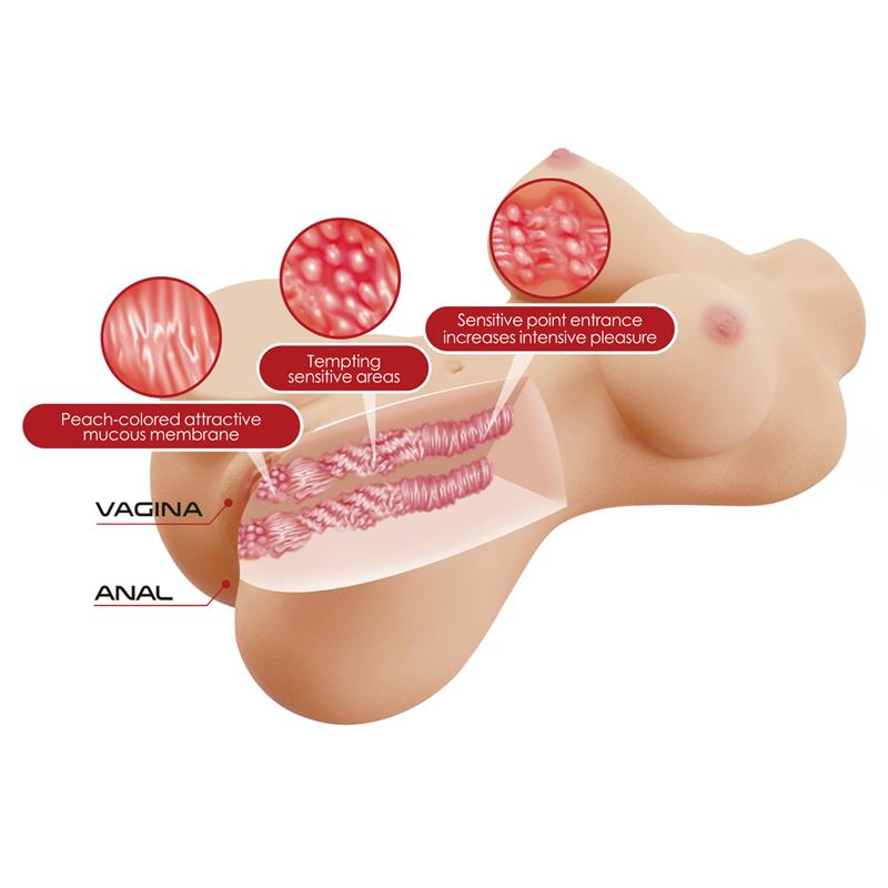 Masturbator Vagina and Ano 19kg